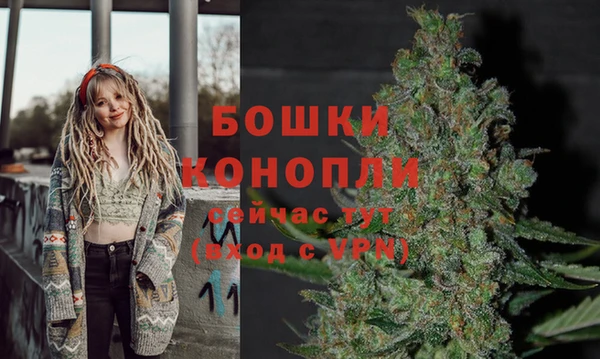 амф Белоозёрский