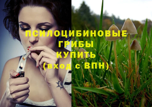 амф Белоозёрский