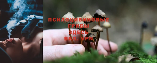 амф Белоозёрский