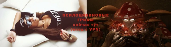 амф Белокуриха