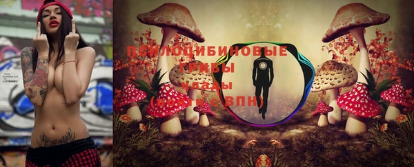 амф Белокуриха