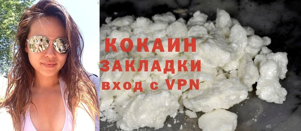 молекула духа Богданович